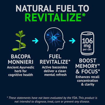 NEORON - Brain Defender, Focus & Memory Support, Sugar‐Free Nootropic Drink, Vegan (Pack of 12)